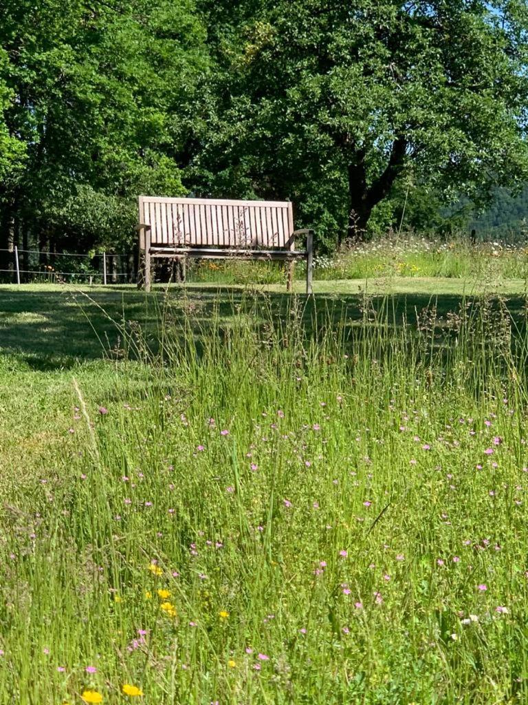 EuscheidUrlaub Mit Hund Auf Dem Bauernhof Hofswaldアパートメント エクステリア 写真